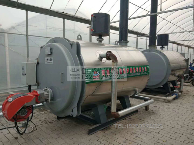 CWNS燃油热水锅炉用于西红柿种植基地